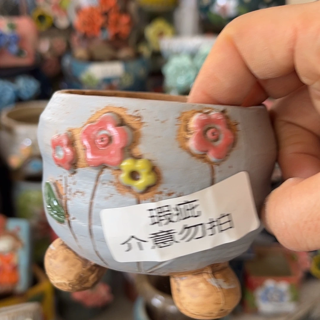 【闪购商品】红陶15cm以下