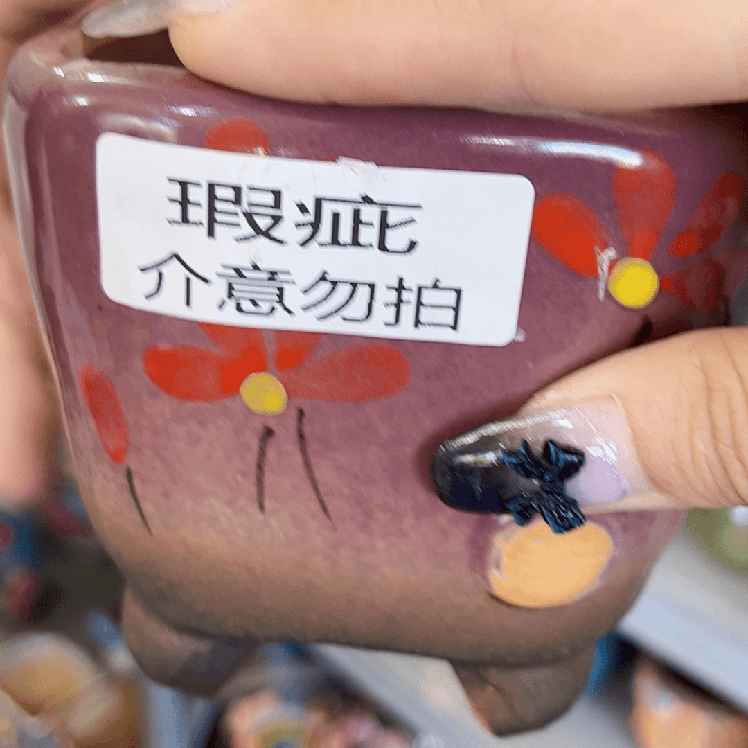 【闪购商品】红陶20CM以下