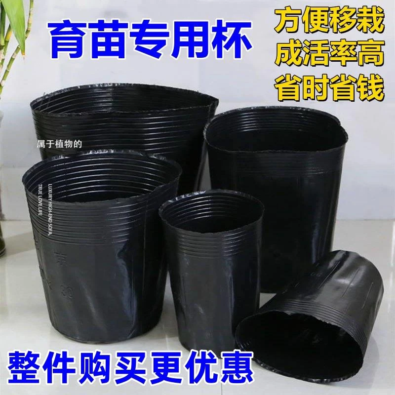 育苗营养杯育苗袋大号一次性花盆黑色种植塑料育苗杯育苗盆营养钵