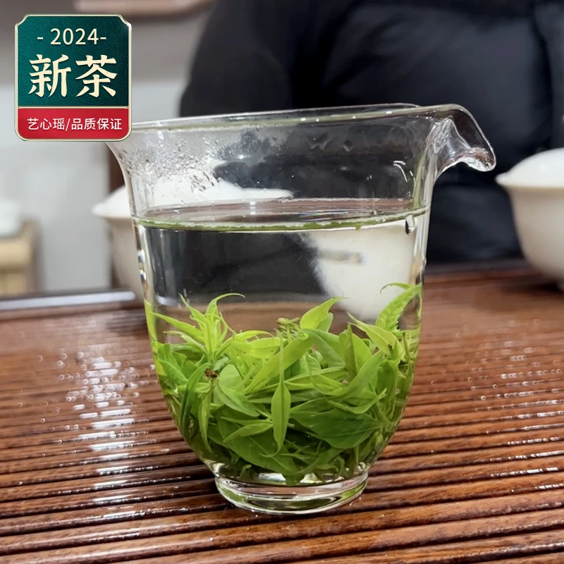 【佳饮】 025号 四川小叶苦丁茶 青山绿水凉茶2024年新茶100g