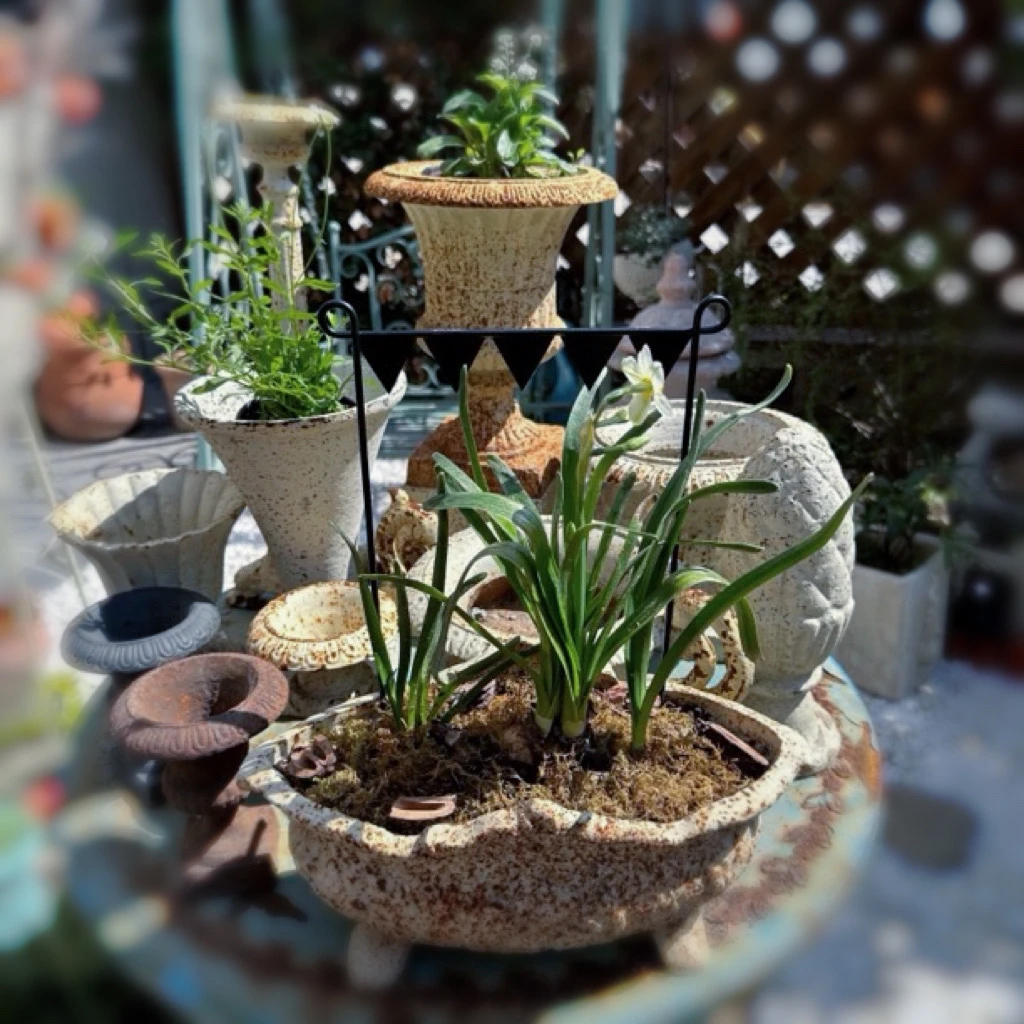 【南乔花园】花园杂货 装饰摆件盆器 铸铁元宝盆四方足酒杯盆