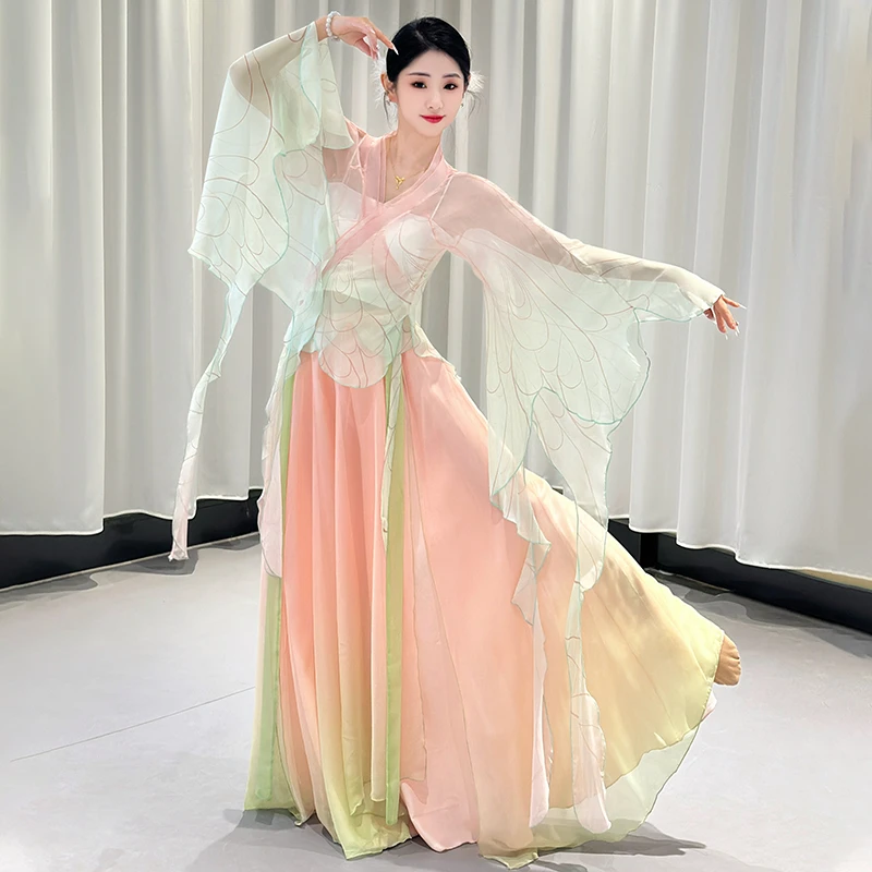 古典舞演出服女渐变身韵纱衣蝴蝶舞蹈服中国舞飘逸网纱艺考表演服