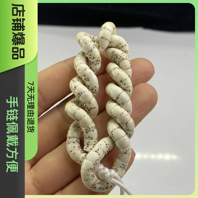 星月菩提：（5*6）大肠