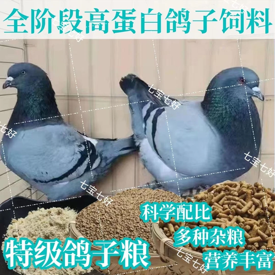 精品优质鸽子饲料高蛋白营养通用颗粒信鸽赛鸽观赏鸽种鸽肉鸽粮食