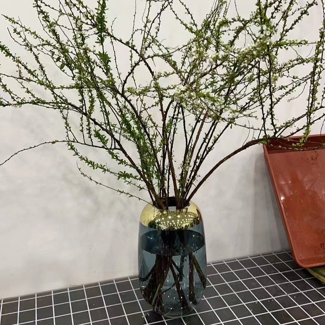雪柳专用简约现代玻璃透明花瓶餐桌摆件客厅家具摆件
