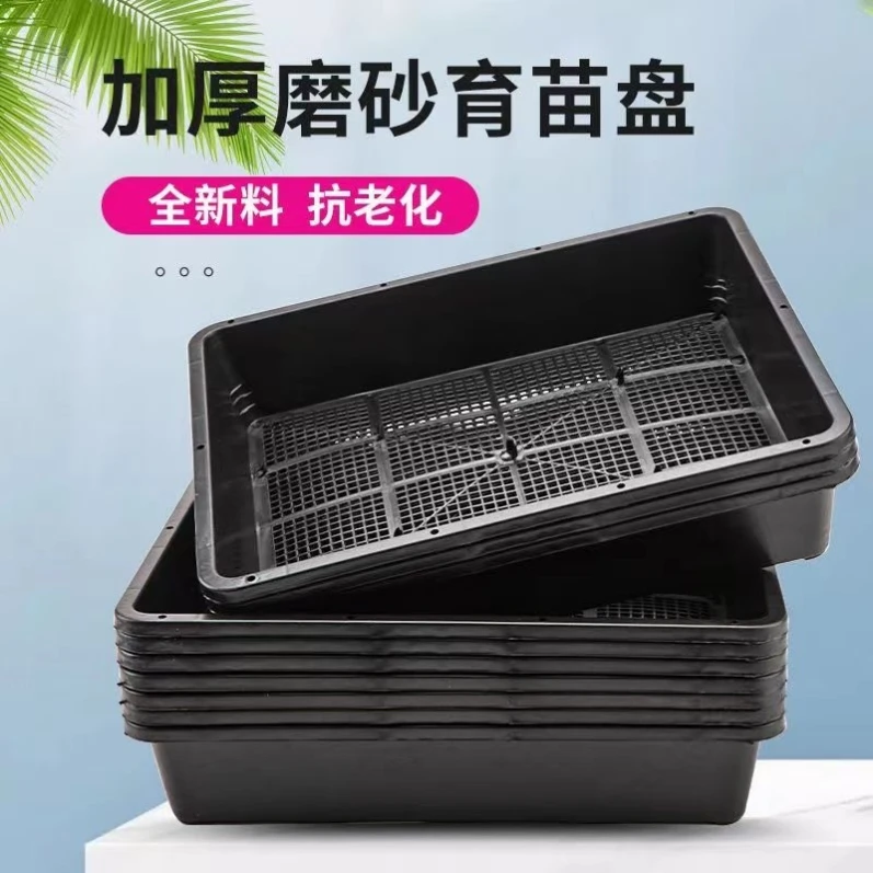 五黑40只【育苗盘，运输筐】