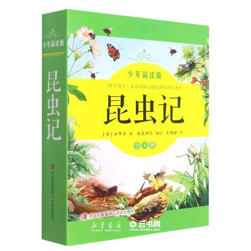 少年简读版共4册课外读物孩子阅读经典名著儿童文学古典小说R