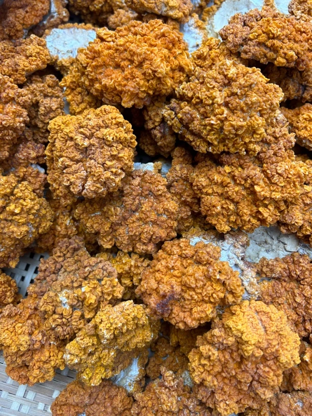 云南土特产……耳……干货链接