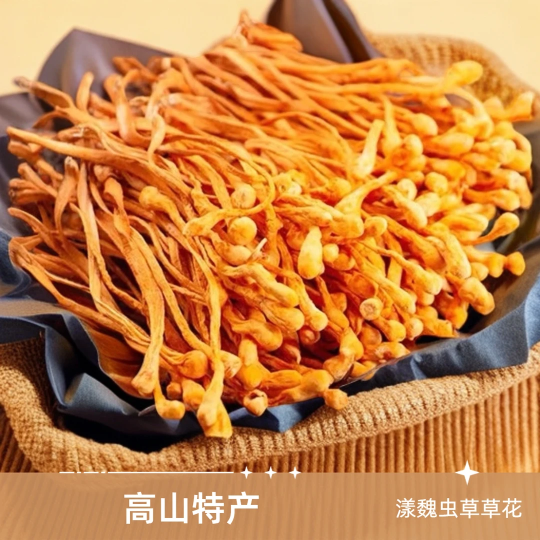 漾魏秦岭虫草花高山产地特选精品100g