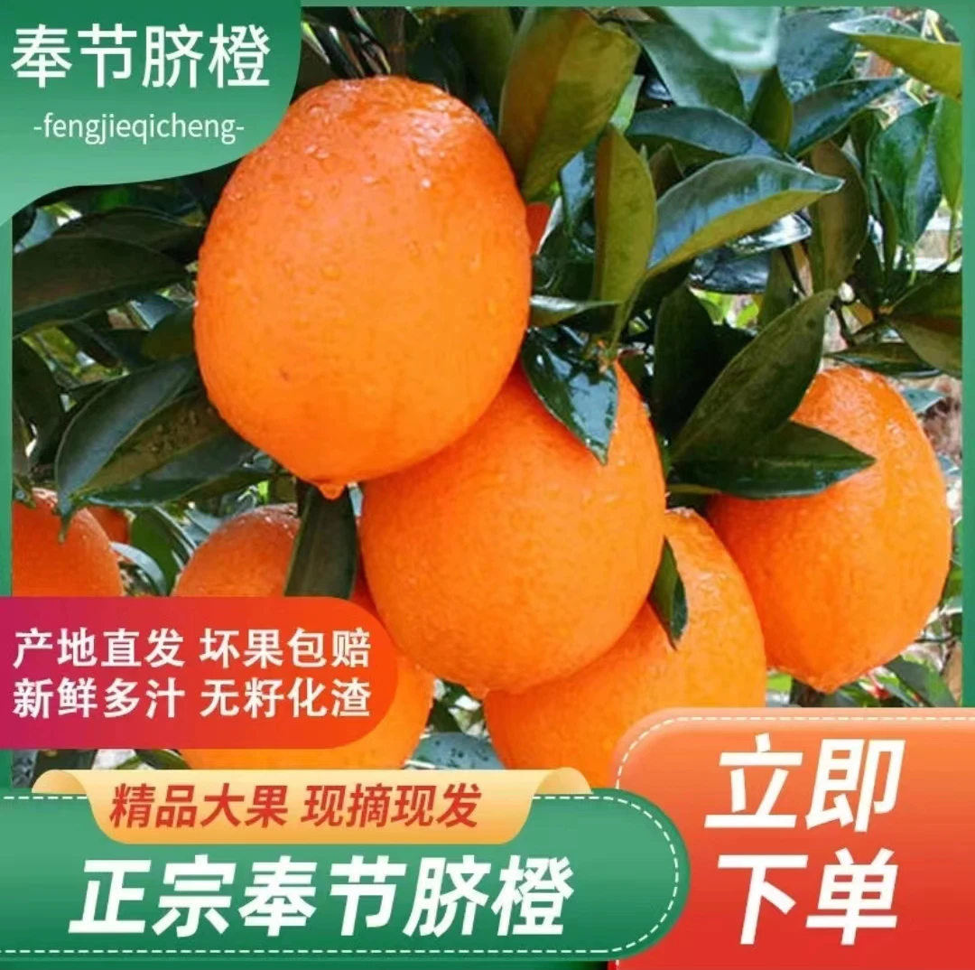 正宗重庆奉节脐橙美味多汁香甜可口老少皆宜现摘现发