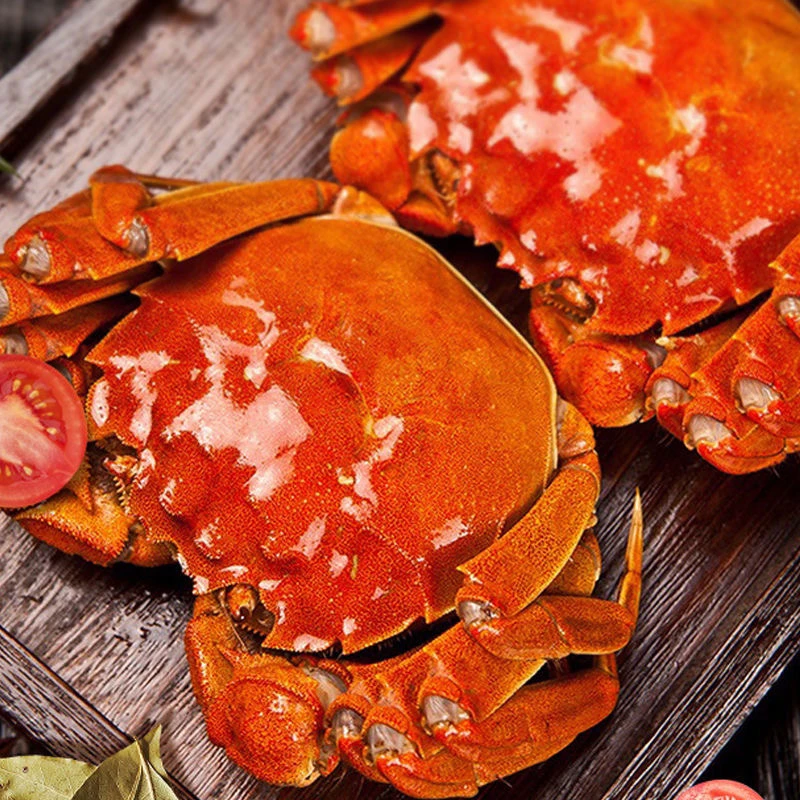 10只母蟹 【1.1-1.3两】鲜活大闸蟹