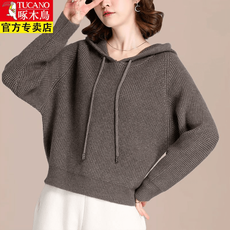 啄木鸟羊毛衫女春秋新款宽松外穿上衣女短款连帽卫衣针织打底衫女