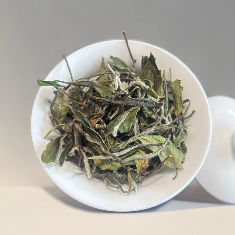 【5g】福鼎白茶白牡丹清甜花香散茶高山明前新茶春茶