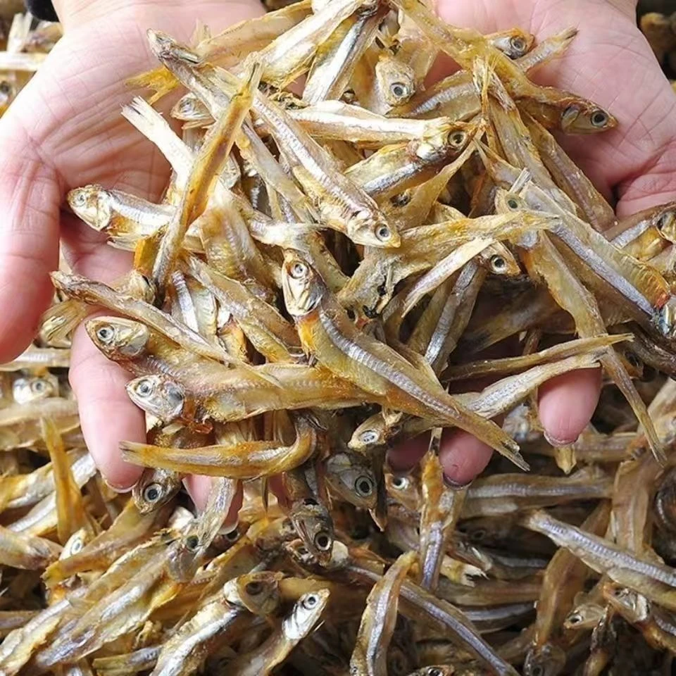 【当季新货冲量特价】公干鱼农家晾晒小鱼干海燕鱼海鲜干货R