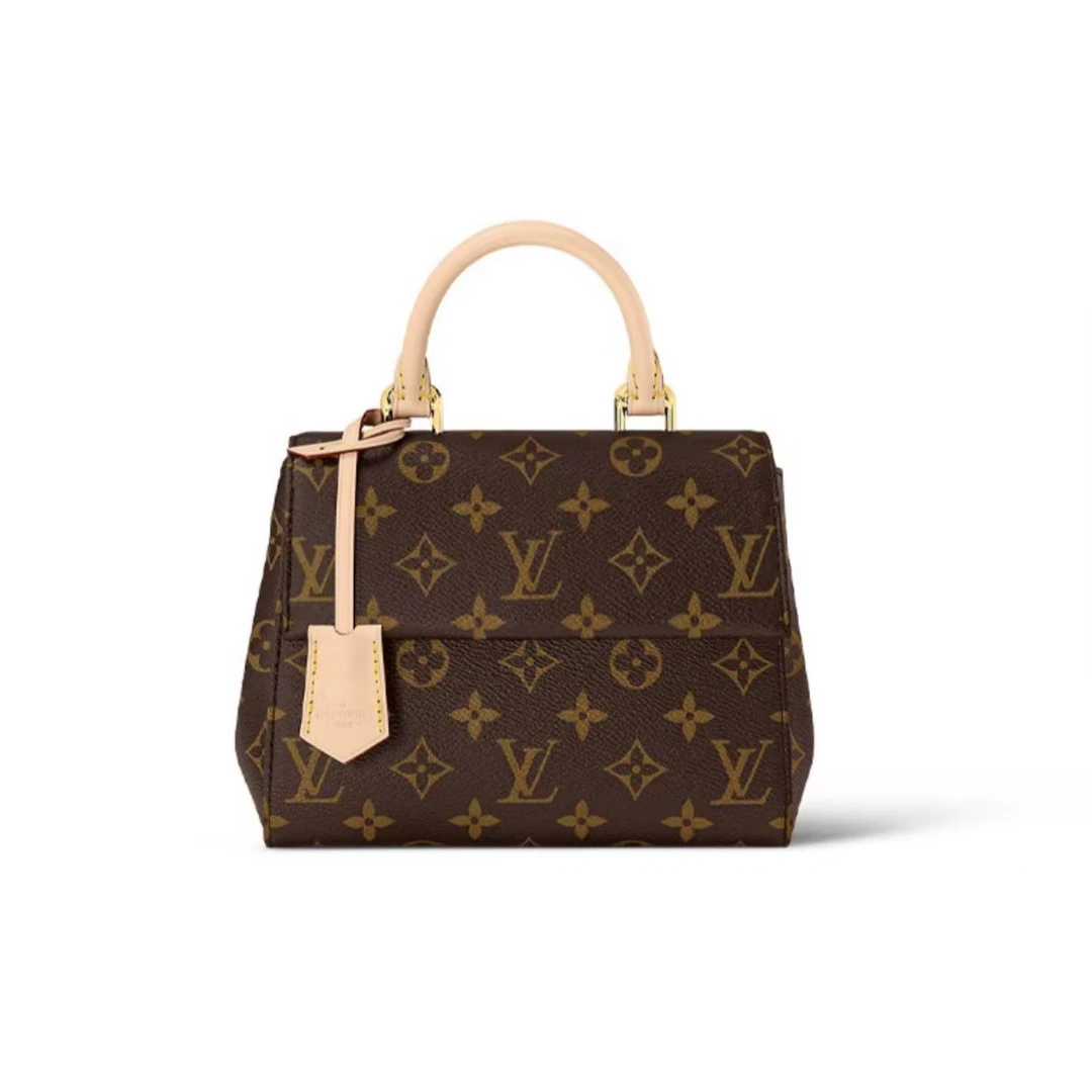 全新未使用 LouisVuitton/路易威登 Cluny mini单肩斜跨包【盒】
