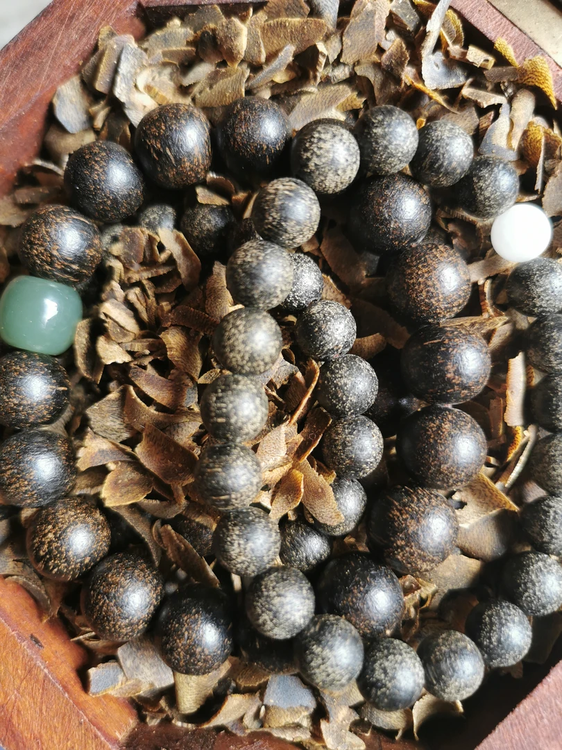 临时链接 克/条 香菇