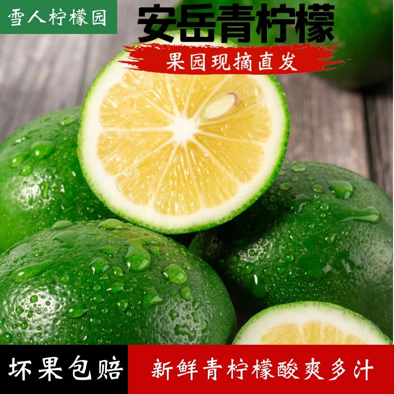 【安岳青柠檬】2-9斤装  当季新鲜水果 果香浓郁 酸爽多汁 现摘现发