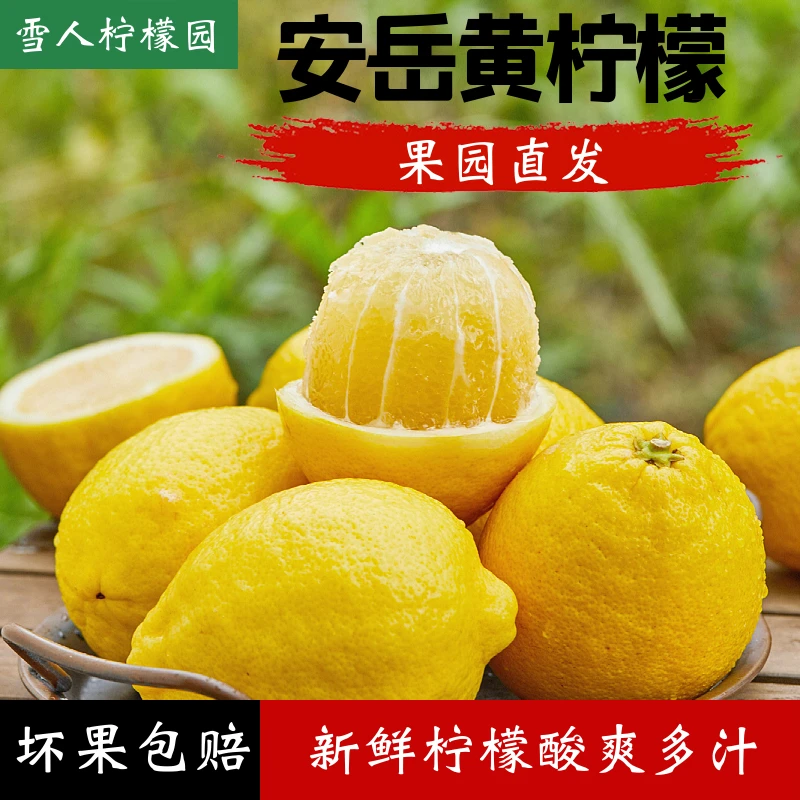【安岳黄柠檬】保鲜袋精品大果 3/5/9斤产地直发个大饱满酸爽多汁