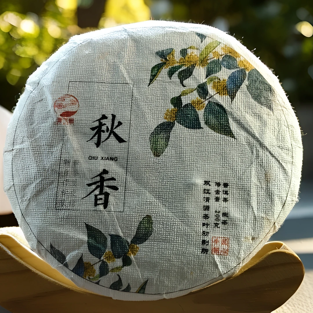 2023年正气塘藤条金秋古树200克饼