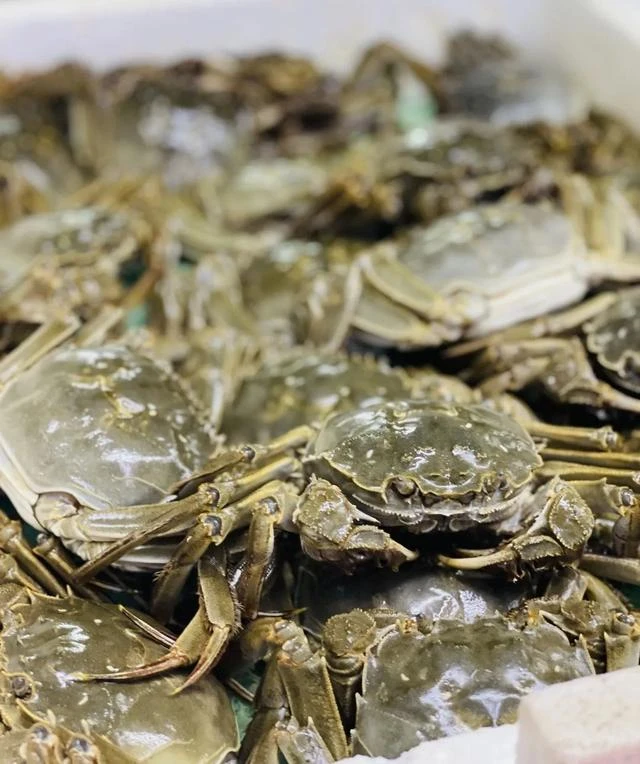 江苏大闸蟹  (共10只母蟹） 红膏全黄母蟹 (规格约2.0两/只）