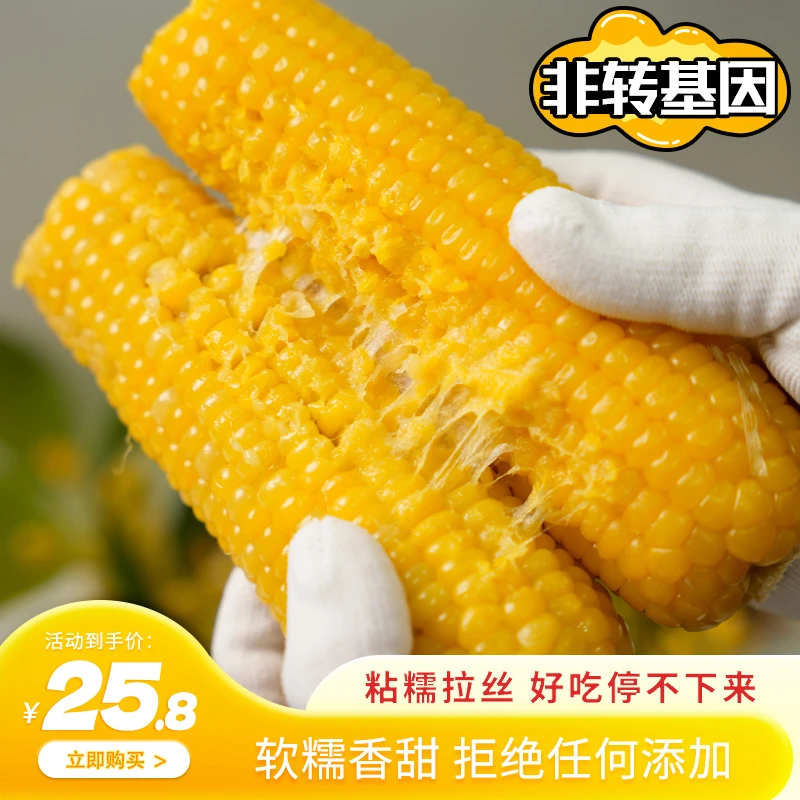 【优选】内蒙新鲜黄糯玉米（8+2）根黏糯香甜玉米棒代早餐黏苞米粗粮