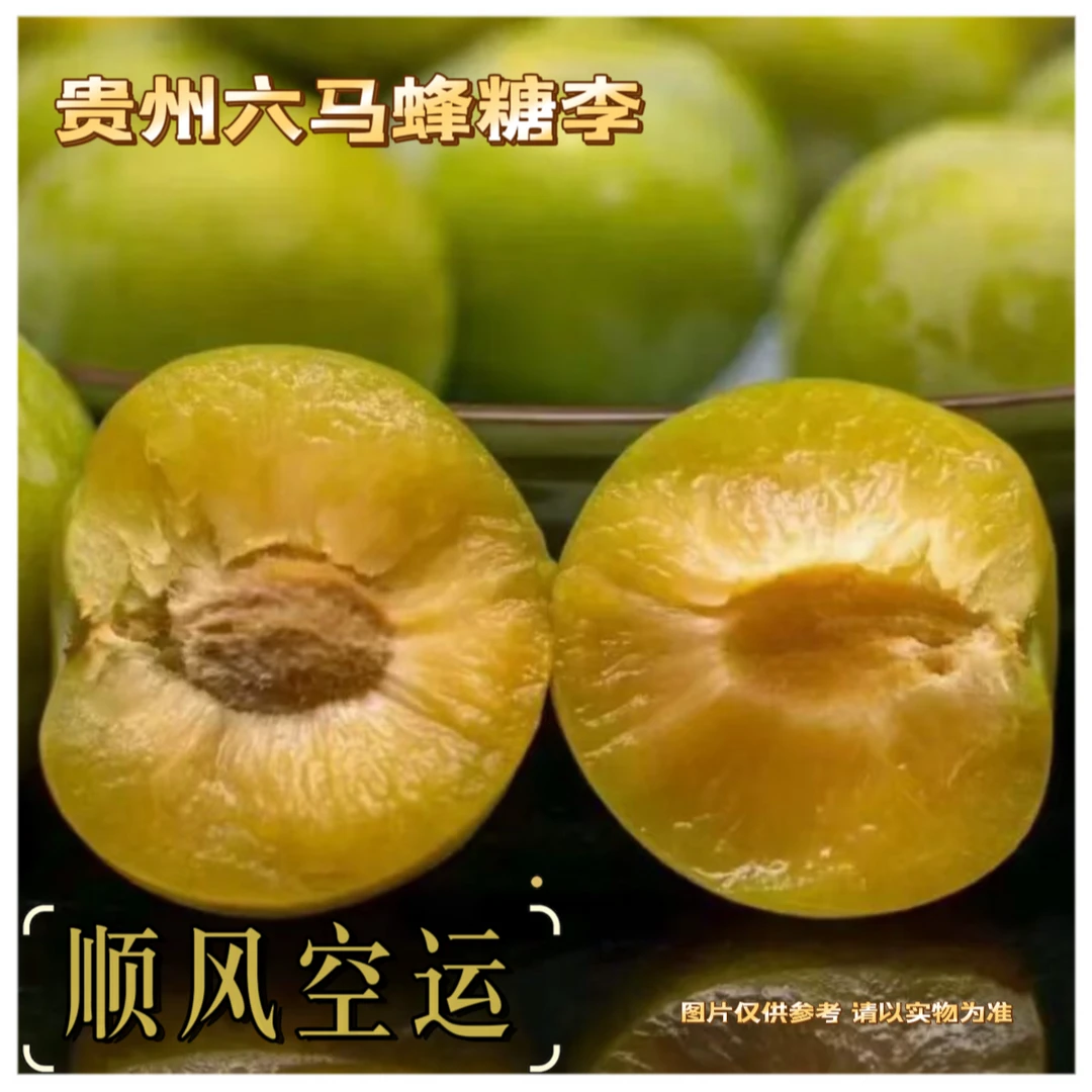 【顺丰空运】正宗贵州六马蜂糖李产地直发