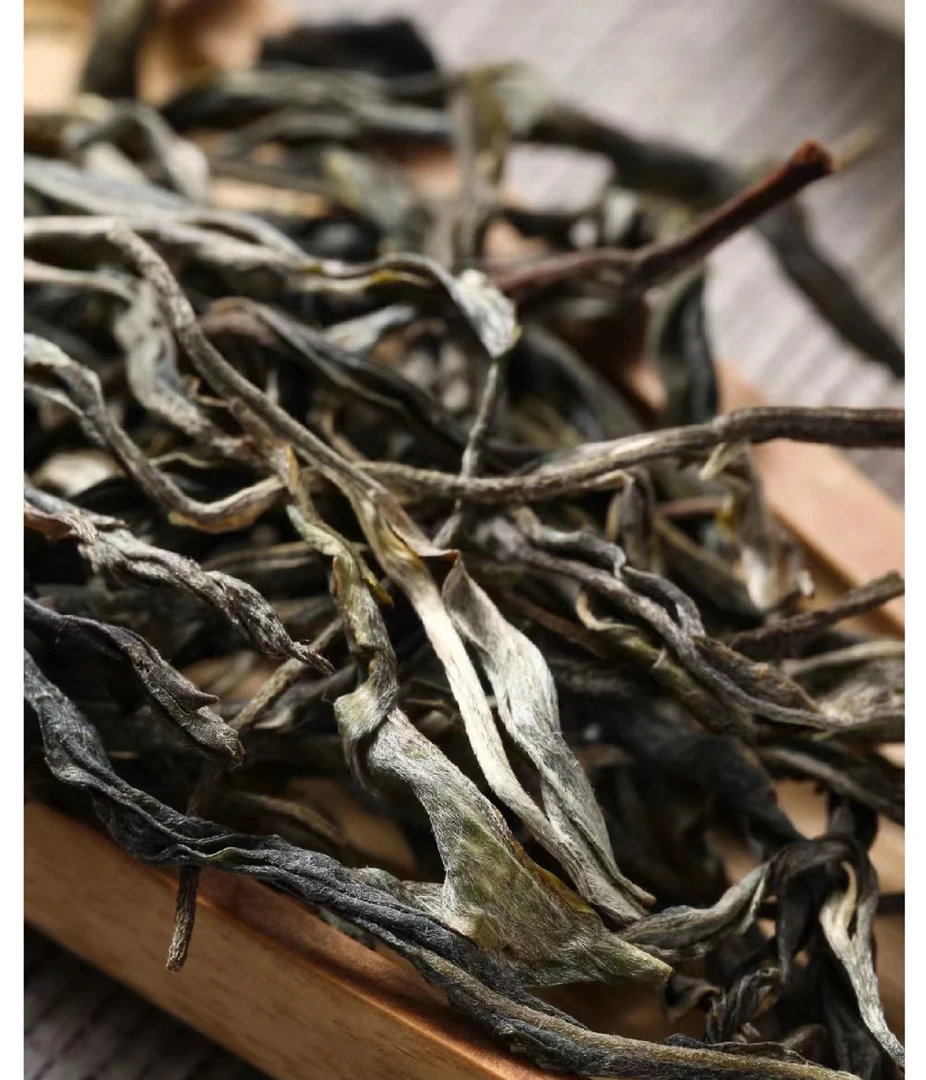 冰岛老寨50号:2024年核心向阳地块/圈粉专属普洱茶生茶