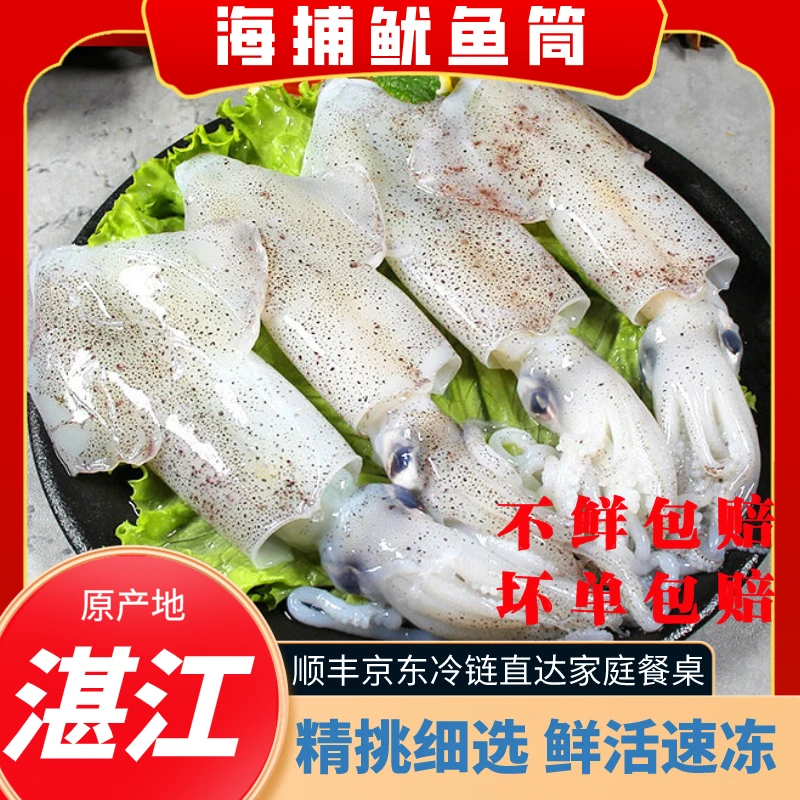 【海兔】3斤装湛江海鲜海边鲜活速冻鱿鱼仔小海兔新鲜海鲜鱿鱼筒