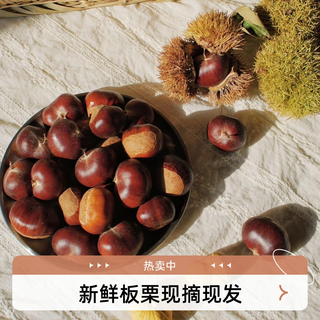 自产自销正宗迁西板栗自然成熟果实饱满粒粒香甜软糯现摘现发