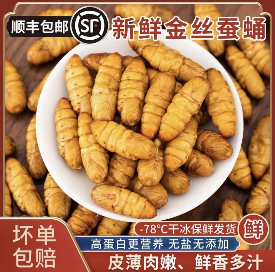 【坏单包赔】新鲜速冻蚕蛹金丝蛹山东小黄蛹食用茧蛹金丝蚕蛹高蛋白