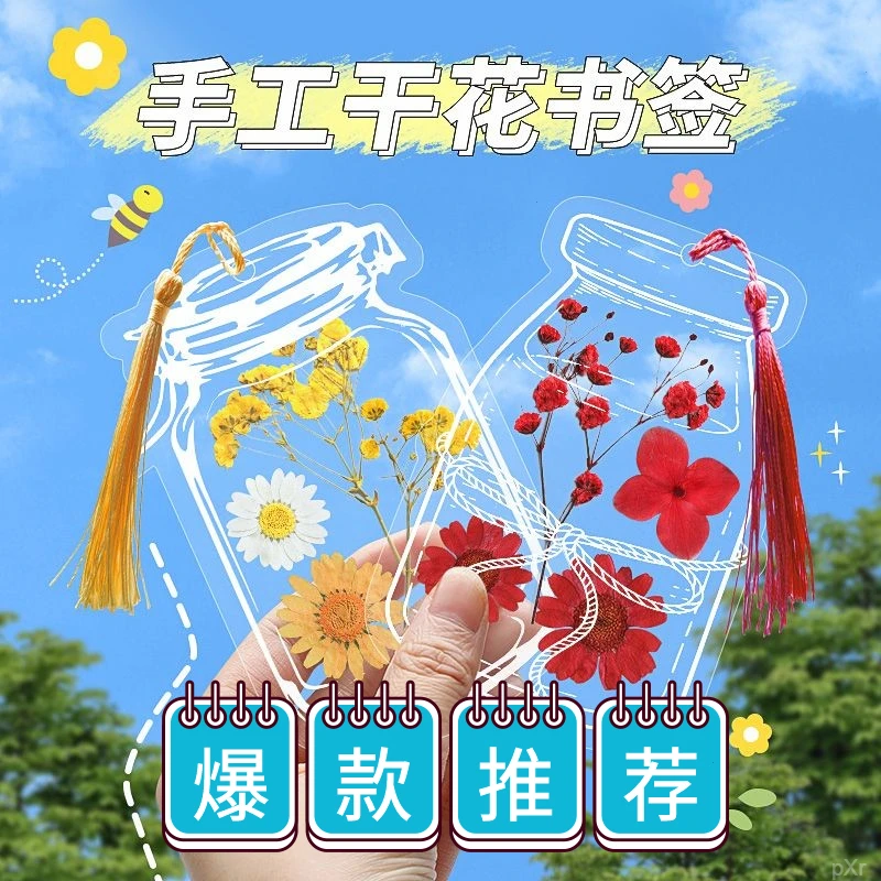透明干花制作夹树叶标本植物diy手工收集册标本册材料包书签