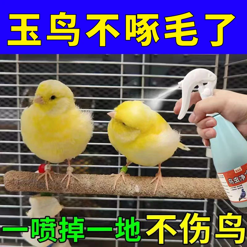 玉鸟驱虫喷雾体外驱虫防琢毛除羽虱羽螨去除异味家用驱虫喷雾