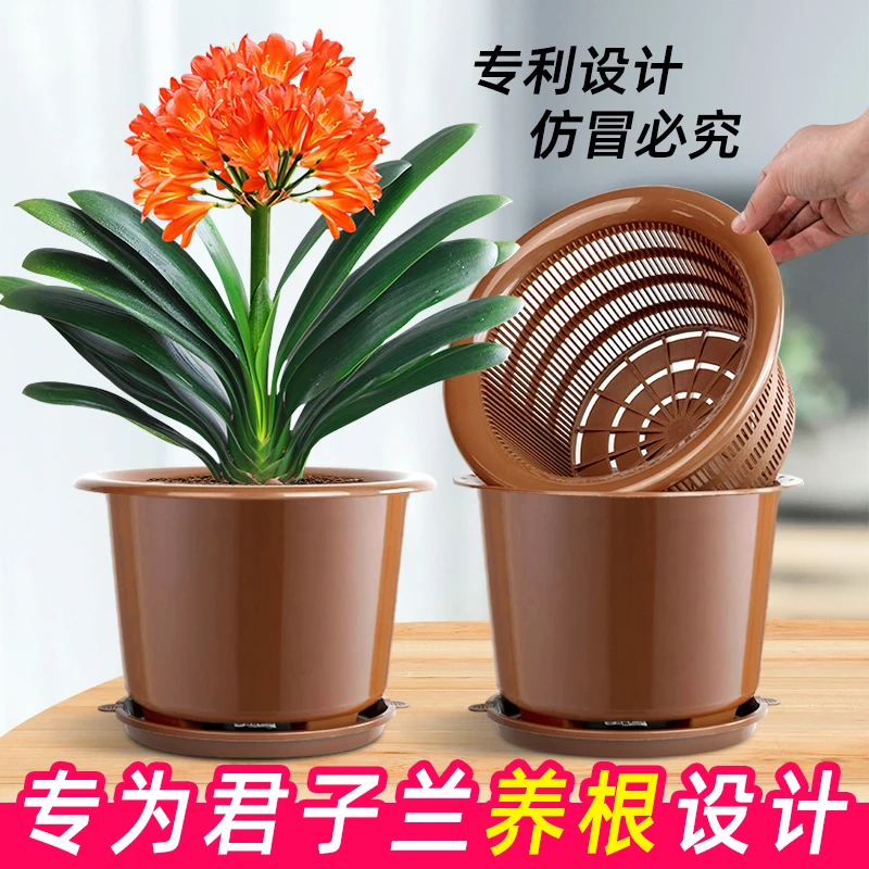 美莳双层养君子兰专用控根花盆透气超紫砂陶瓷塑料树脂盆栽土大号