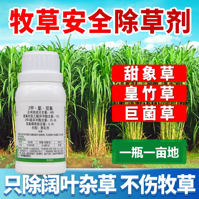 皇竹草甜象草黑麦草高丹草巨菌草墨西哥玉米草牧草田地专用除草剂