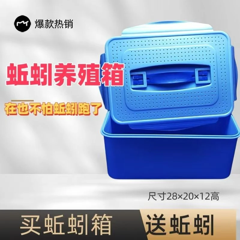 蚯蚓养殖箱专用防逃跑高档塑料透气观察箱饲养盒学习观察蚯蚓盒