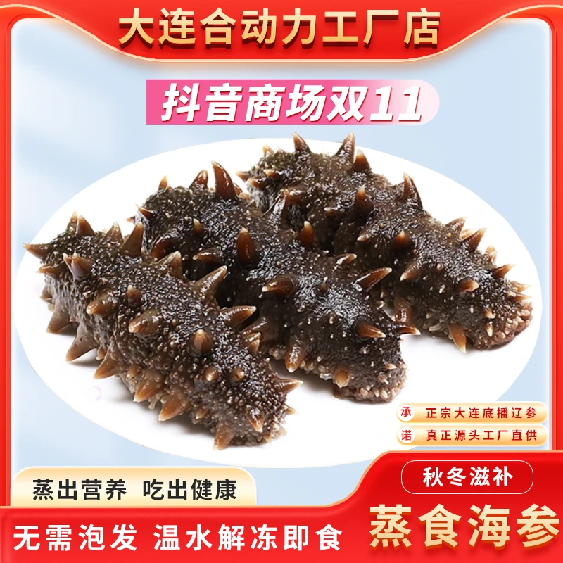 淳古【黄金头数12-14】大连蒸食海参深海鲜活品质辽参 开袋即食海参