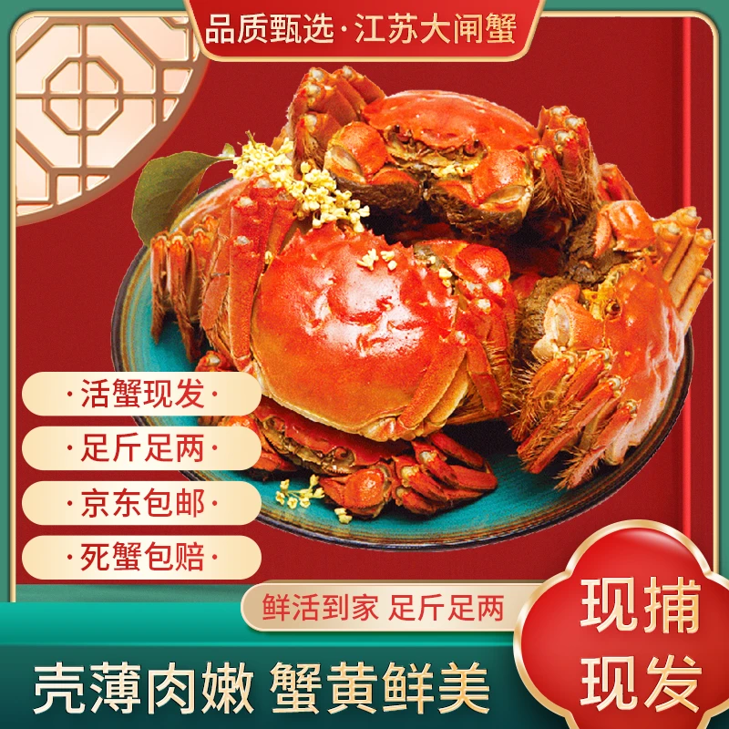 【江苏大闸蟹】精品鲜活2.0-1.8两 现货冷链发货 8只母2只公 不绑绳