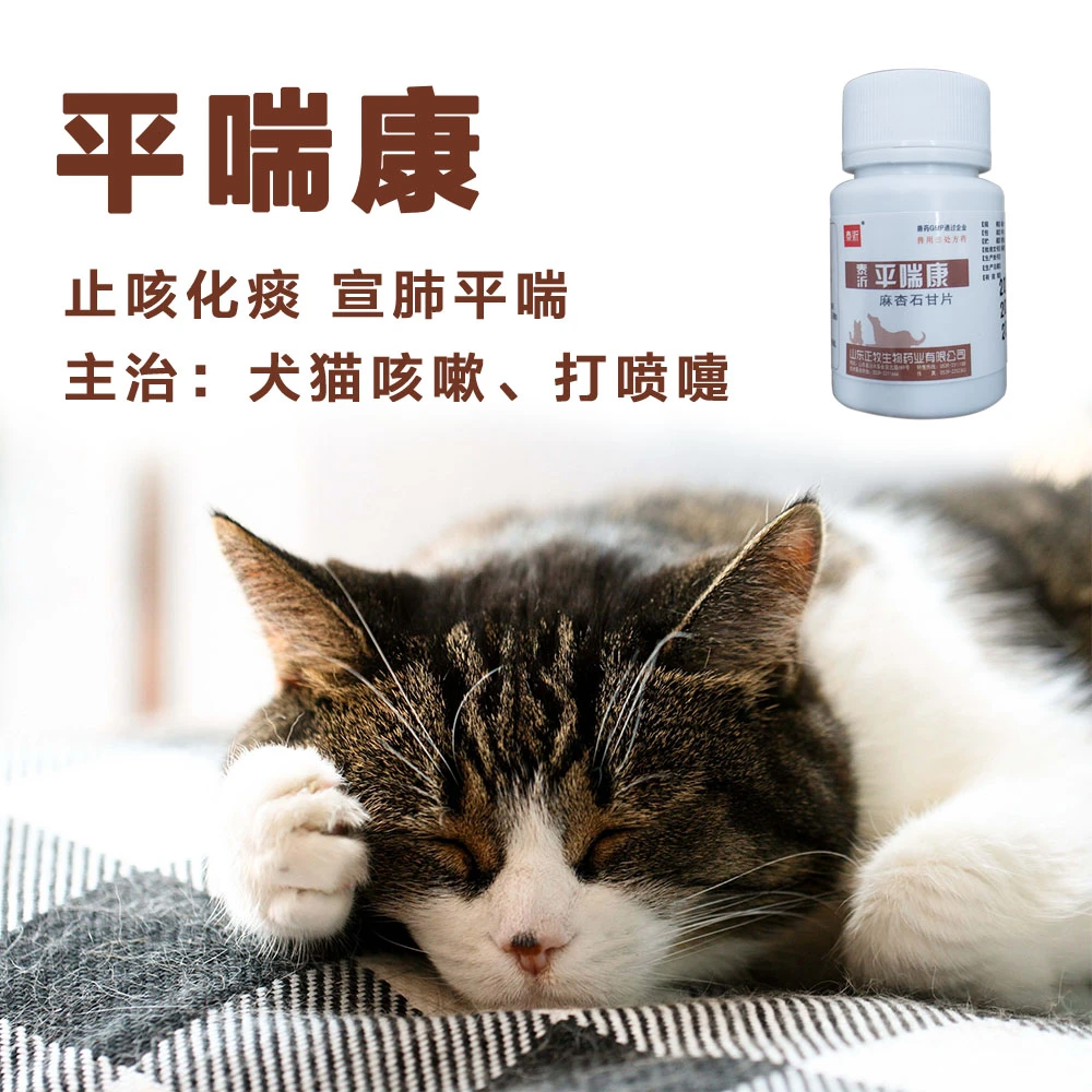 宠物平喘康狗狗猫咪咳嗽打喷嚏干咔咳干呕除肺热麻杏石甘