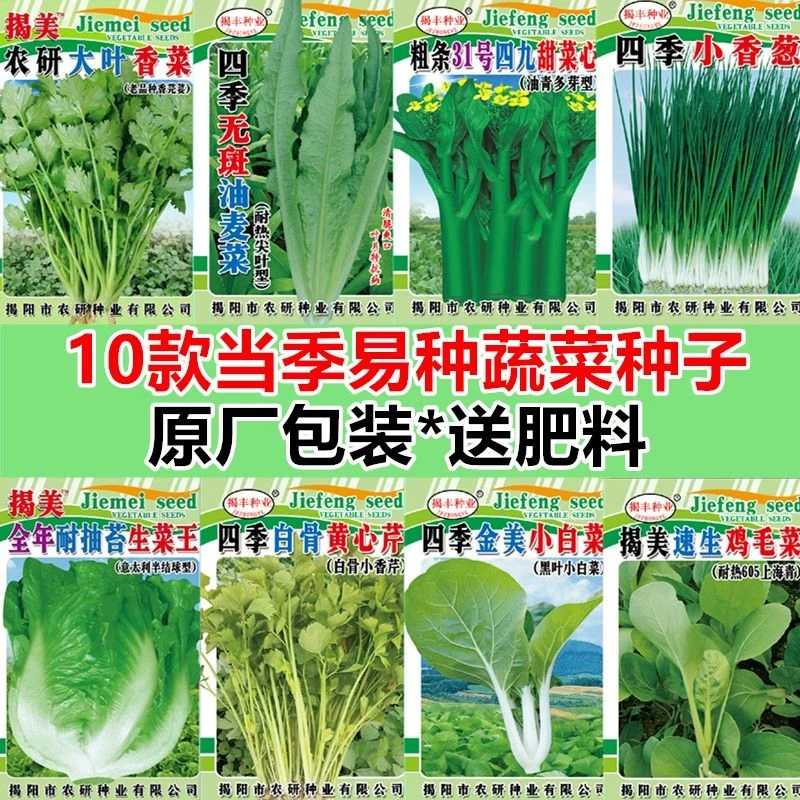 十种四季播蔬菜种子套餐易种阳台庭院盆栽香菜小葱生菜小白菜青菜