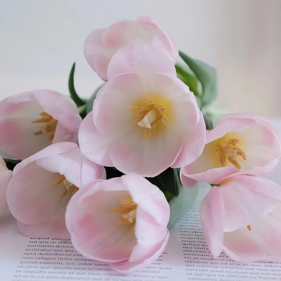 空运包邮 王朝粉郁金香 鲜切花 云南郁金香鲜花顺丰包邮