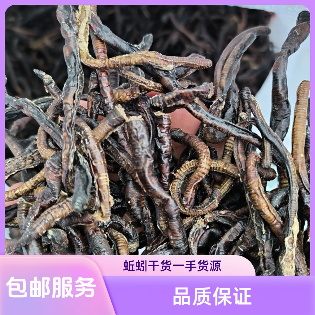 黑青干地龙干圆条户外黄鳝饵料乌龟饲料臭青蚯蚓活饵包邮