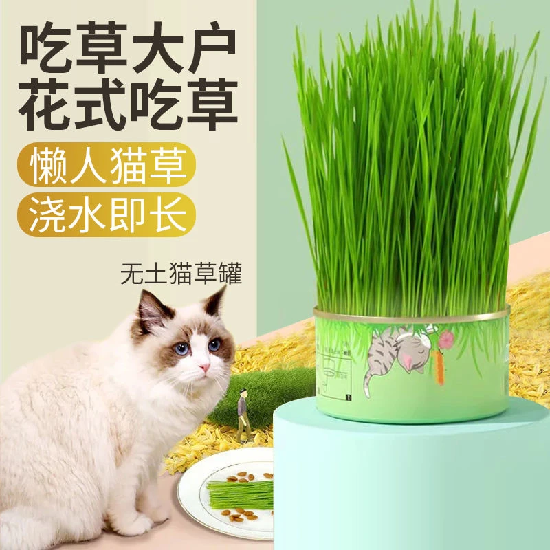 懒人猫草罐头吐毛球化毛促进消化便利栽培猫薄荷宠物猫零食盆栽