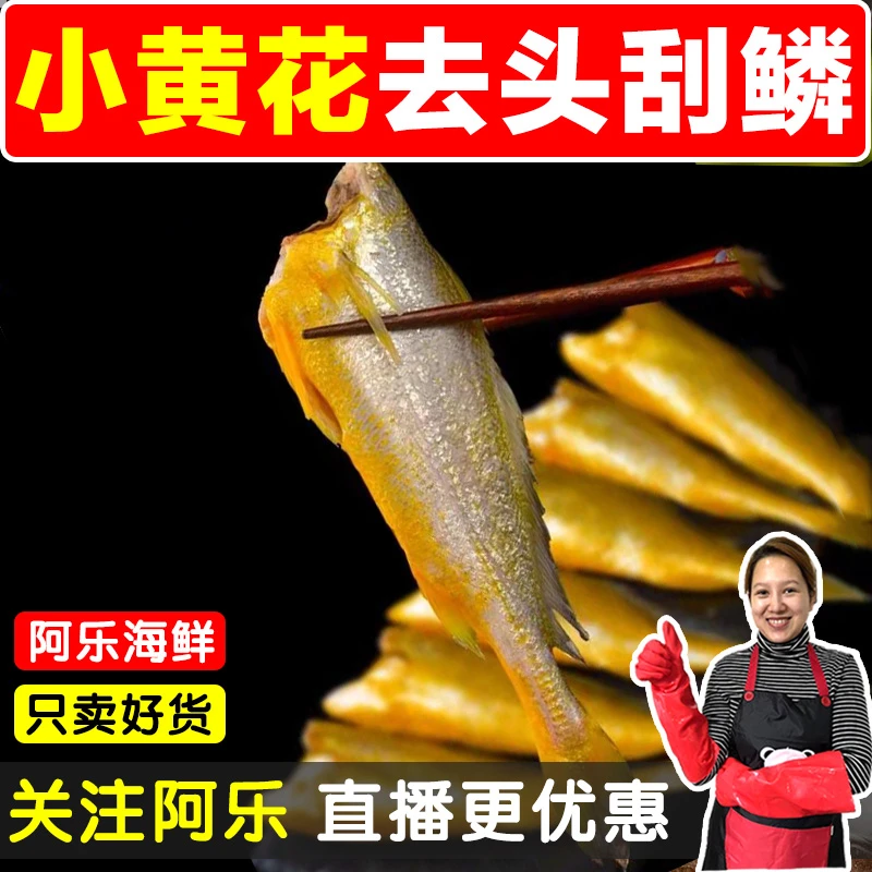 【鲜货加工】去头小黄花鱼野生小黄鱼大号海鲜连云港特产500g/袋