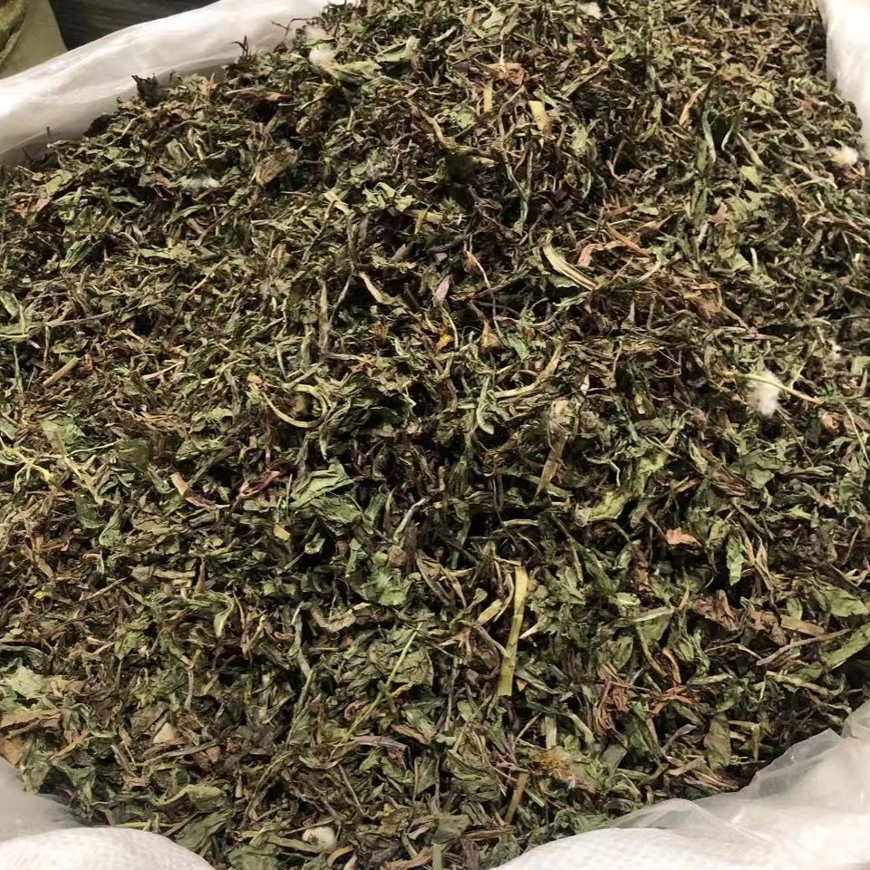 【蒲公英】老乡农货无中间商散装货介意勿拍