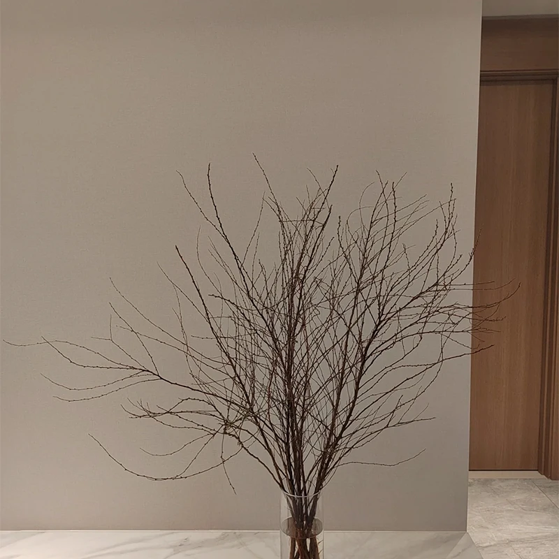 【包邮】干枝雪柳 带芽发货 水养 办公室家庭插花易养护 1扎 50cm+