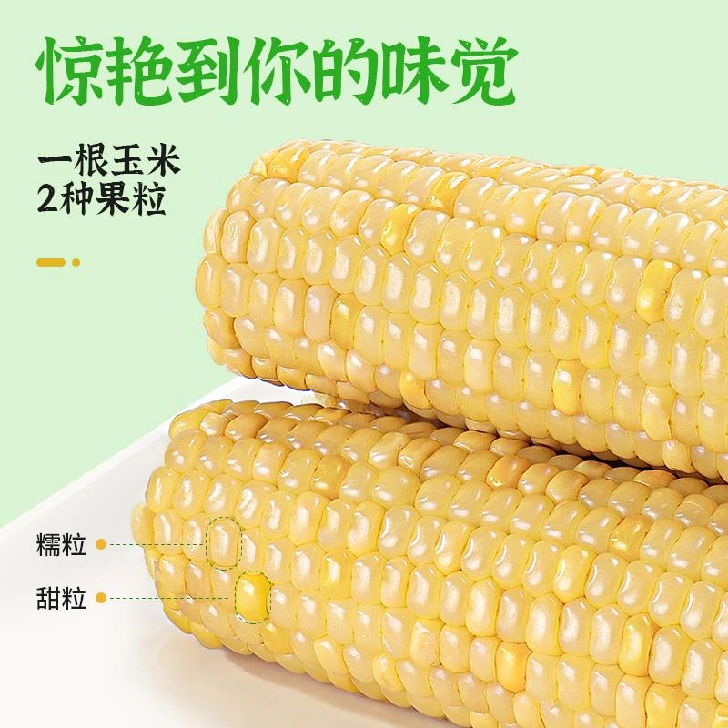 糯玉米真空装新鲜甜玉米嫩玉米黏粘水果糯米玉米棒非即食粗粮笋0g