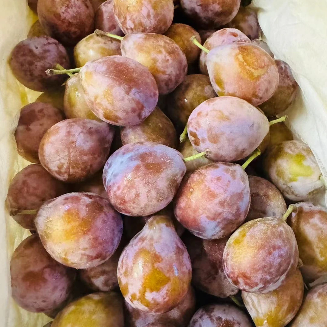 [霞优选]新疆西梅