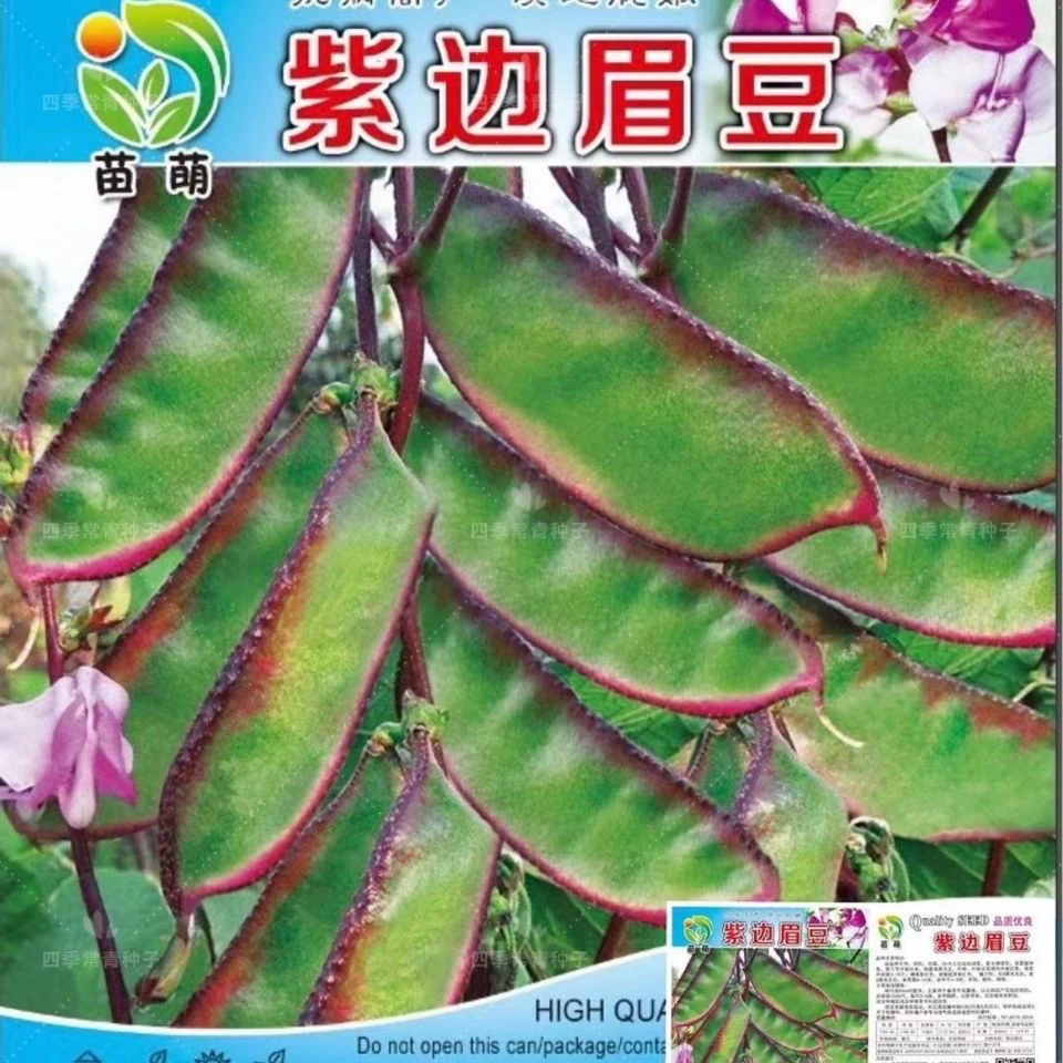 眉豆种子紫扁豆种籽绿眉豆紫边红边扁豆角种子好吃易种四季蔬菜籽