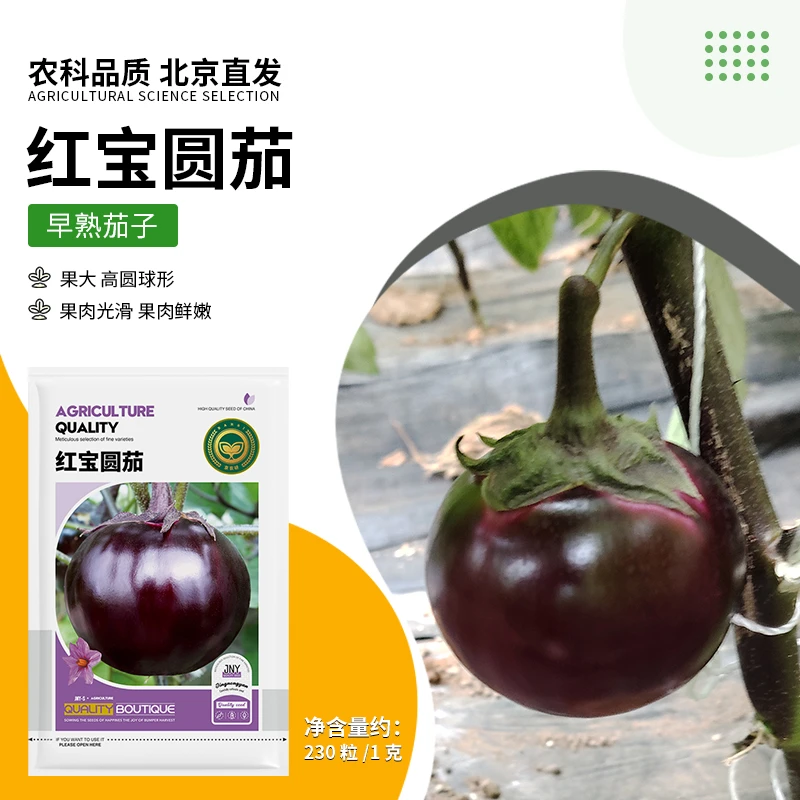 【农科院推荐】红宝圆茄双十一四季种蔬菜种子阳台盆栽简单易种