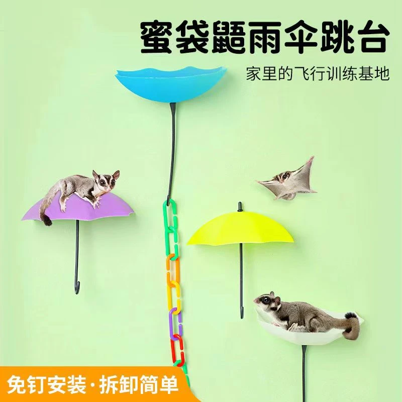 蜜袋起飞跳台攀爬平台站台训练玩具用品攀爬玩具滑翔飞鼠必备用品